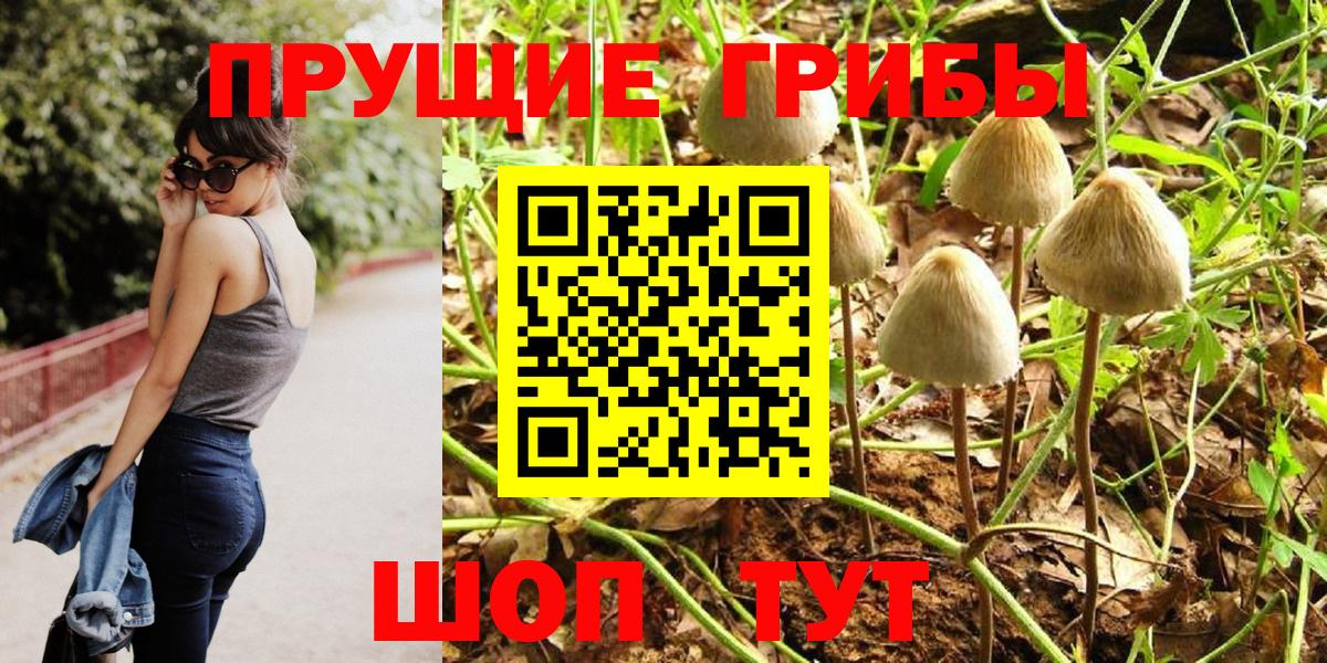 Псилоцибиновые грибы GOLDEN TEACHER Кольчугино